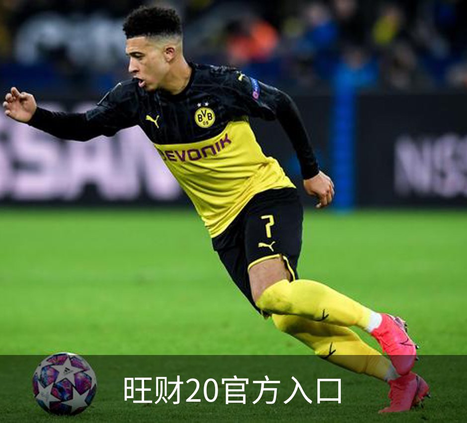 旺财20官方入口介绍